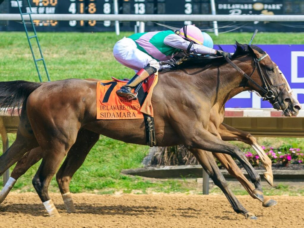 Power-Squeeze (Inside)- Delaware Oaks 2024 - Foto: Hoofprints Inc.