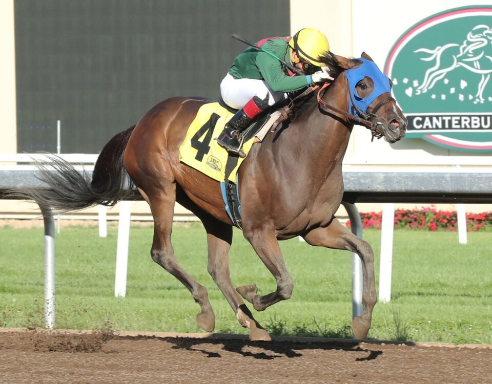 Retired Kathy - Canterbury Park - Coady Media