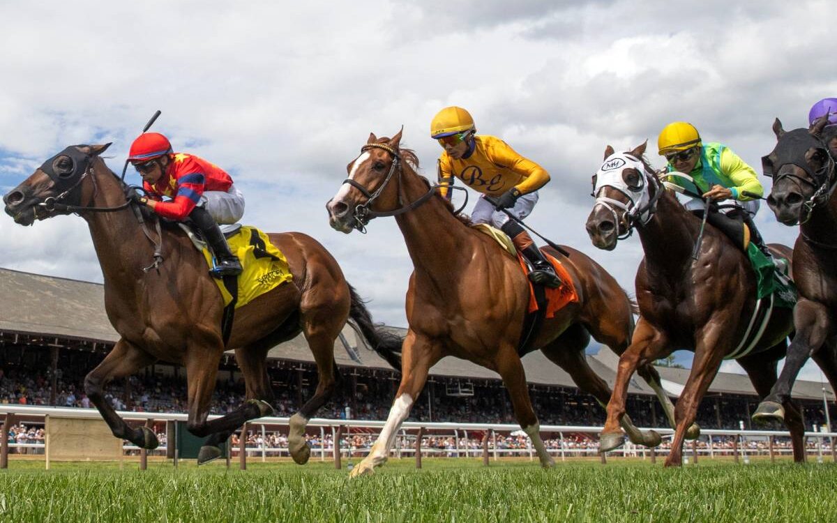 Saratoga Scenic - Barbara Livingston - Daily Racing Form