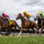 Saratoga Scenic - Barbara Livingston - Daily Racing Form