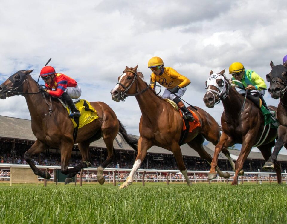 Saratoga Scenic - Barbara Livingston - Daily Racing Form