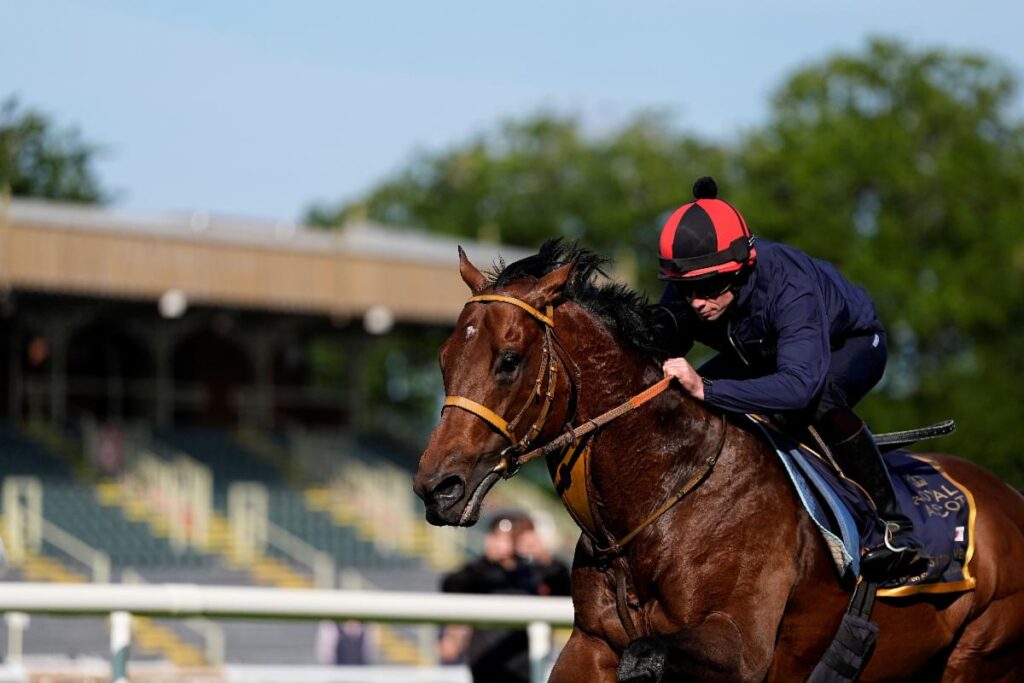 Satono Reve - John Hoy - Ascot Media
