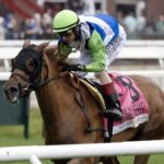 She Feels Pretty – foto Barbara D. Livingston – Daily Racing Form