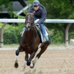 Sovereignty - Saratoga - Barbara D. Livingston - Daily Racing Form