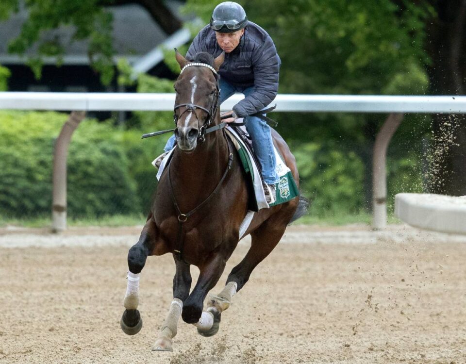 Sovereignty - Saratoga - Barbara D. Livingston - Daily Racing Form