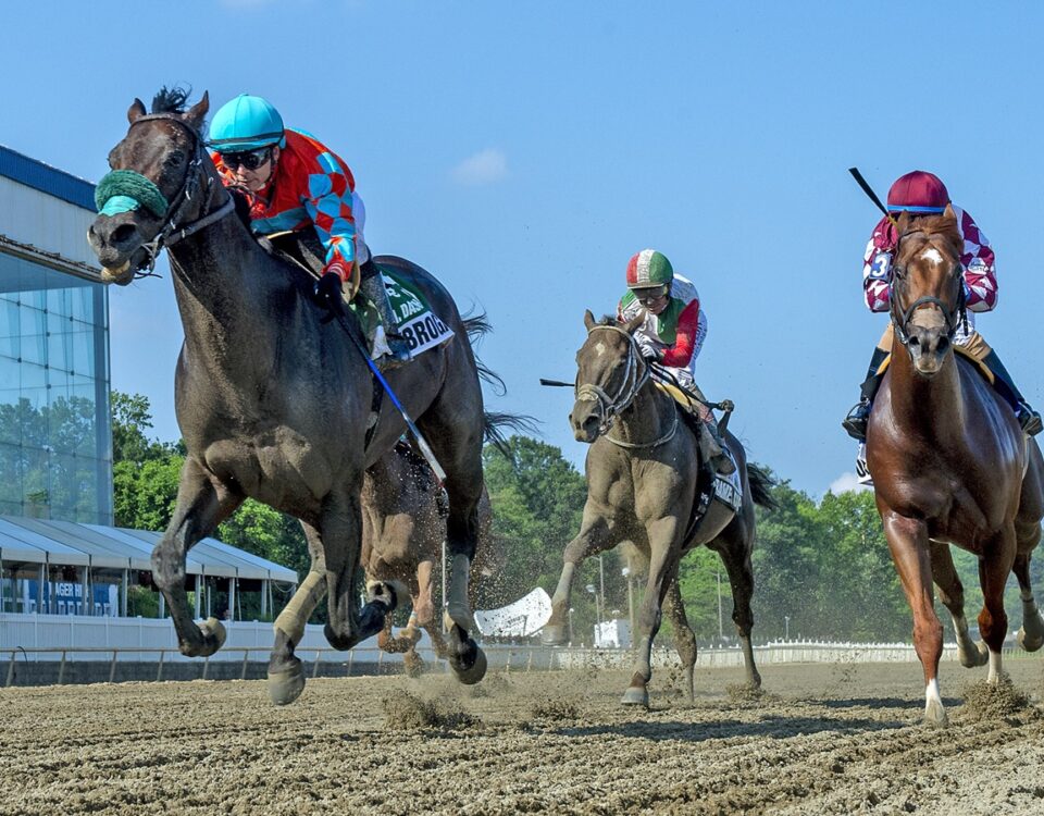 Subrogate - Frank J De Francis Memorial Dash Stakes - Jerry Dzierwinsky