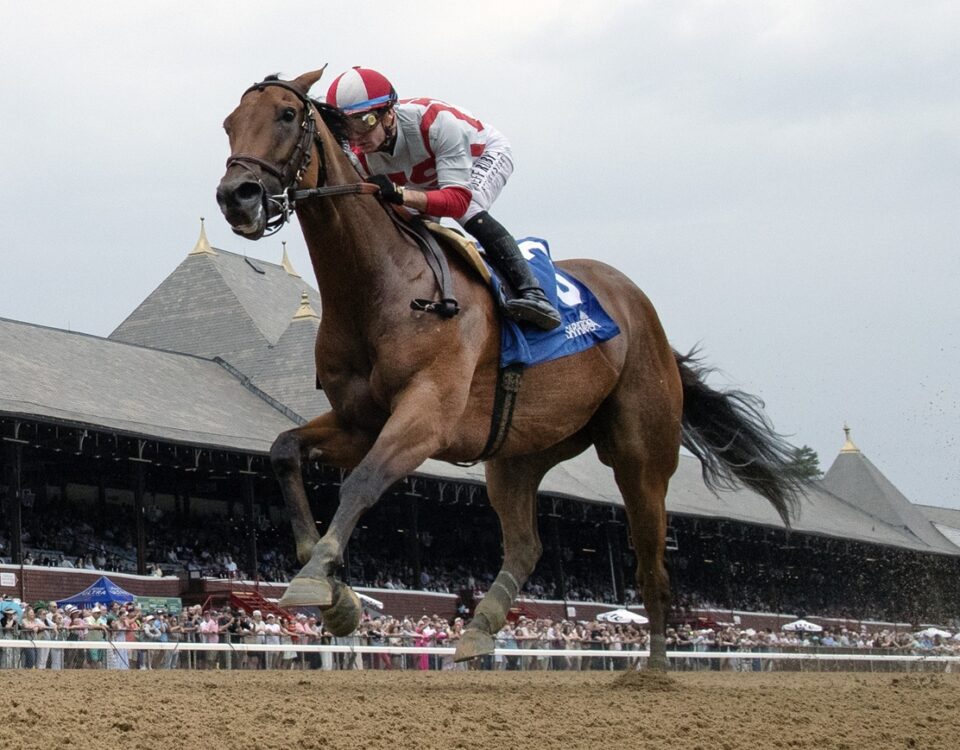 Ways and Means – Barbara D. Livingston – Daily Racing Form