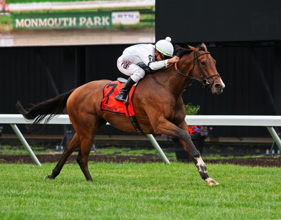 Whiskey Decision - Eatontown Stakes G3T - Bill Denver/EQUI-PHOTO