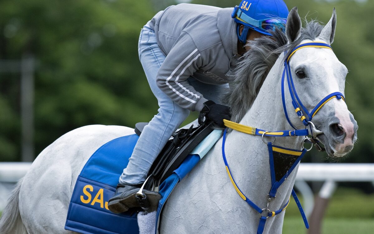 White Abarrio en Saratoga - Foto: Barbara D. Livingston - Daily Racing Form