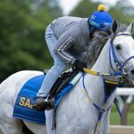 White Abarrio en Saratoga - Foto: Barbara D. Livingston - Daily Racing Form
