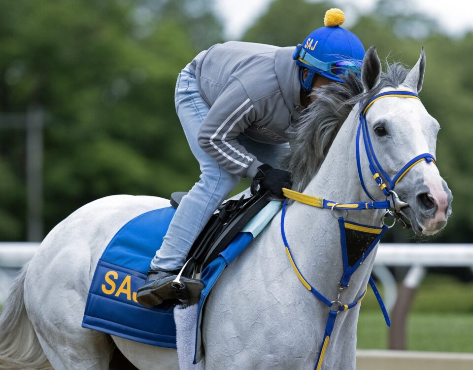 White Abarrio en Saratoga - Foto: Barbara D. Livingston - Daily Racing Form