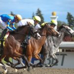 Woodbine Action - Julie Wright - Daily Racing Form
