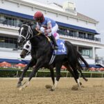 Andrea - Azalea Stakes - Ryan Thompson/Coglianese Photo