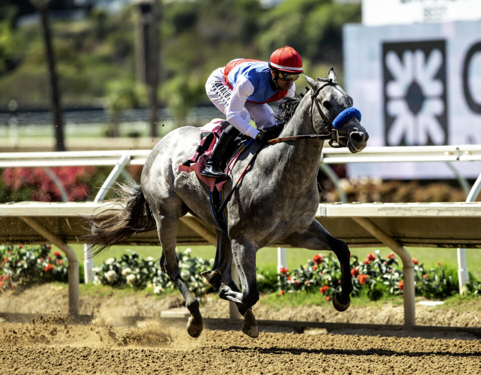 Brant - Beyer 101 - Benoit Photo / Del Mar