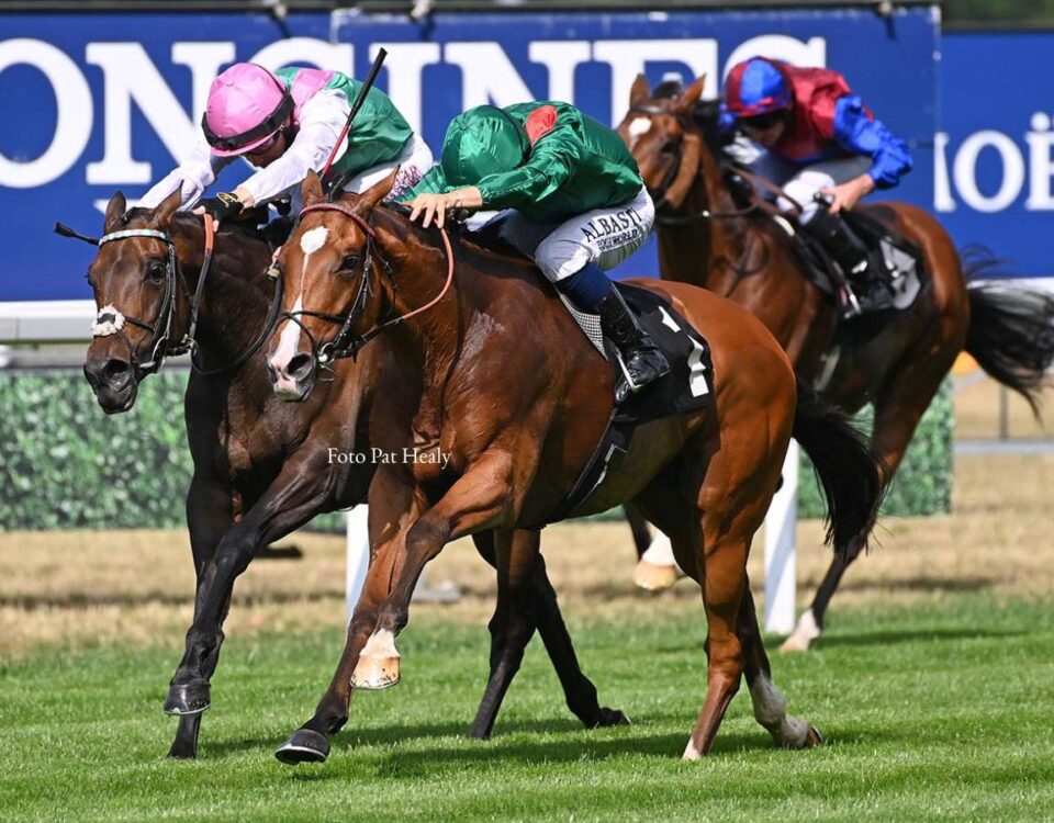 Calandagan - King George VI and Queen Elizabeth Stakes Grupo 1 - Foto Pat Healy