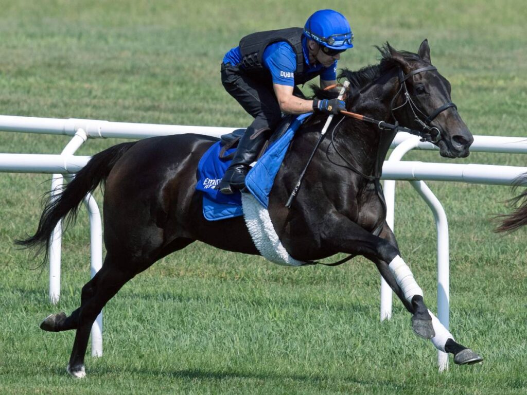 Cinderella's Dream - Barbara D. Livingston - Daily Racing Form