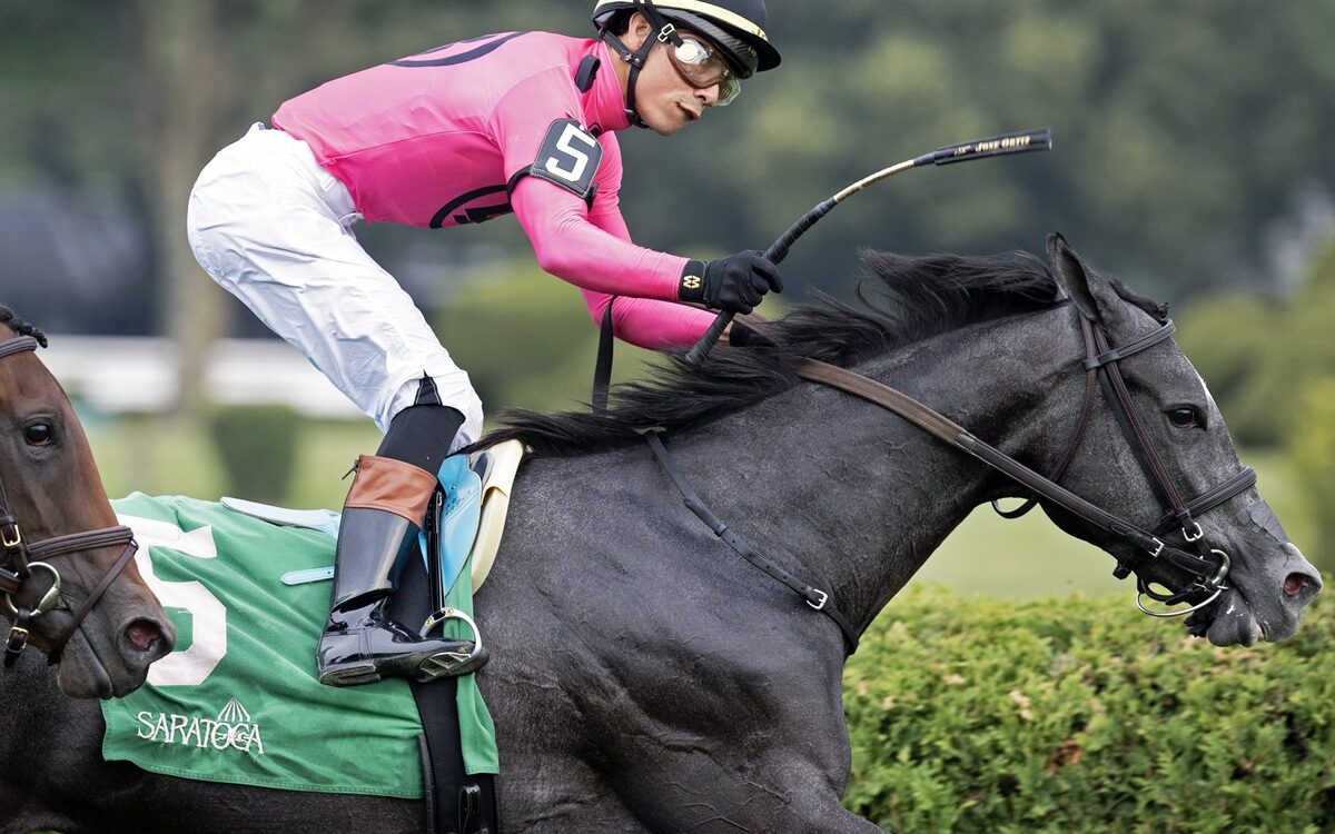 Classic Q - Foto: Barbara D. Livingston - Daily Racing Form