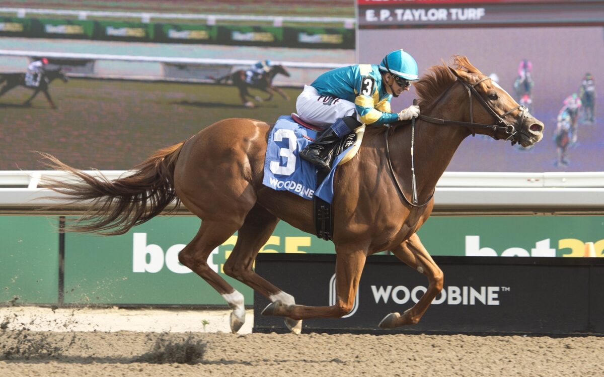 Creed's Gold - Hendrie Stakes - Michael Burns Photo