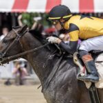 Curtain Call - Saratoga - Foto: Debbie Roma - Daily racing Form