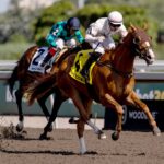 Sedbury's Ghost - Plate Trial Stakes - Woodbine/ Michael Burns Photo