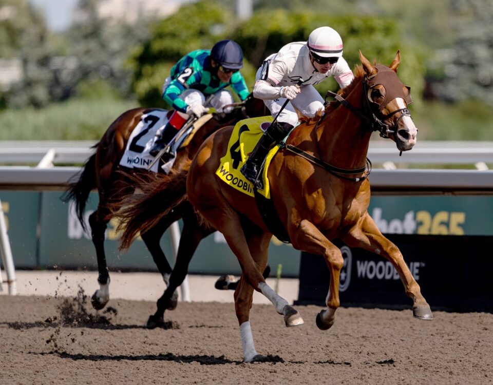 Sedbury's Ghost - Plate Trial Stakes - Woodbine/ Michael Burns Photo