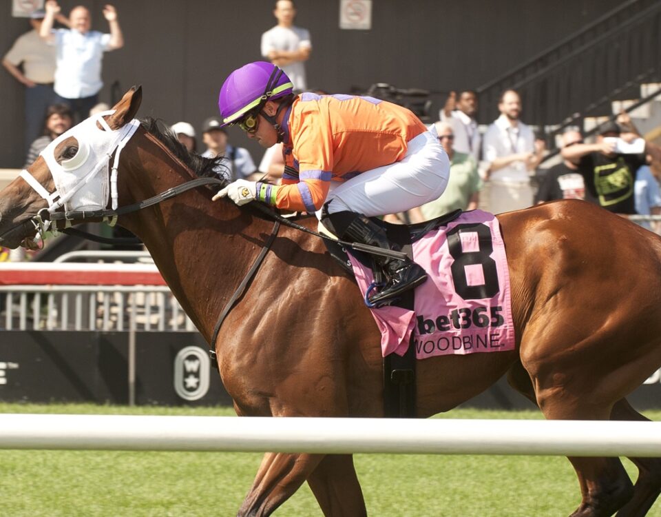 Cruden Bay - Connaught Cup (Grade II) - Woodbine/ Michael Burns Photo