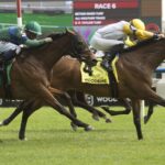 Ready for Shirl - Canadian Stakes G2 - Woodbine/ Michael Burns Photo