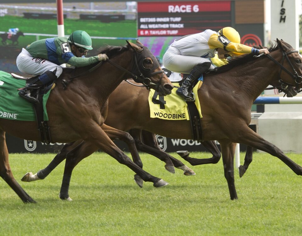 Ready for Shirl - Canadian Stakes G2 - Woodbine/ Michael Burns Photo