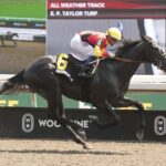 Casson - Victoria Stakes - Michael Burns Photo