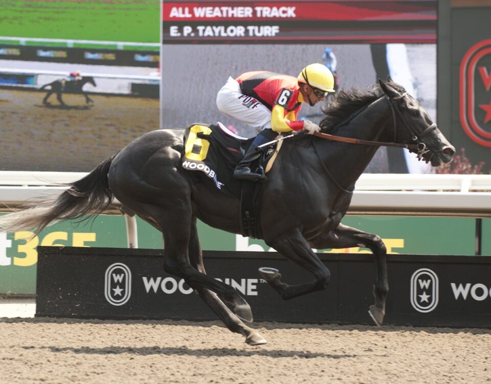 Casson - Victoria Stakes - Michael Burns Photo