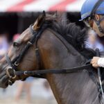 Echo Sound - Barbara D. Livingston / Daily Racing Form