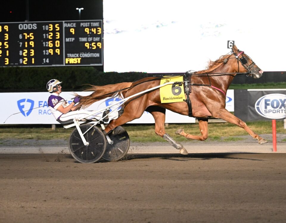 Elista Hanover - Hambletonian Maturity - Jessica Hallett/DRF Harness photo