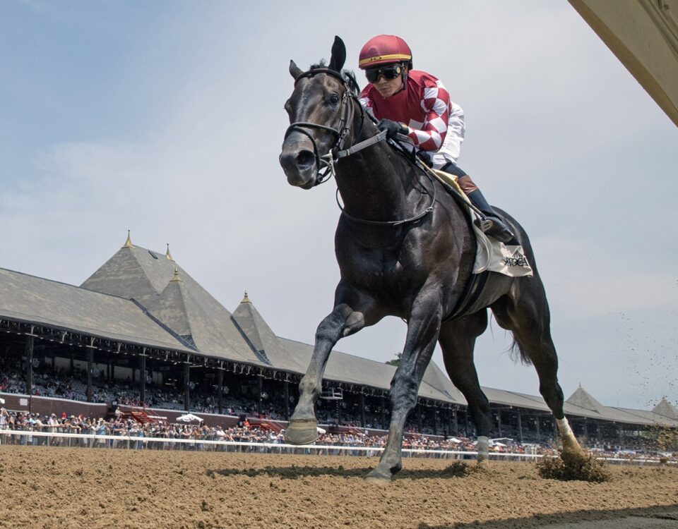 Ewing - Saratoga Race Course - Foto: Barbara D. Livingston / Daily Racing Form