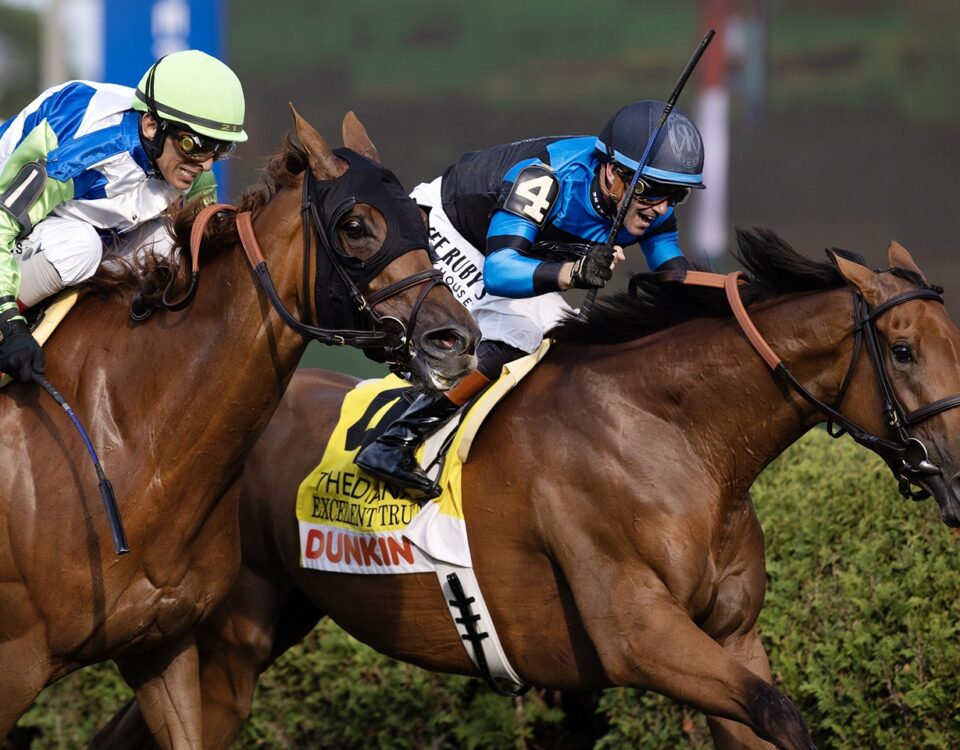 Excellent Truth (Ire) - Diana Stakes G1 - Barbara D. Livingston - Daily Racing Form