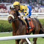 Far Bridge - Debbie Roma - Daily Racing Form