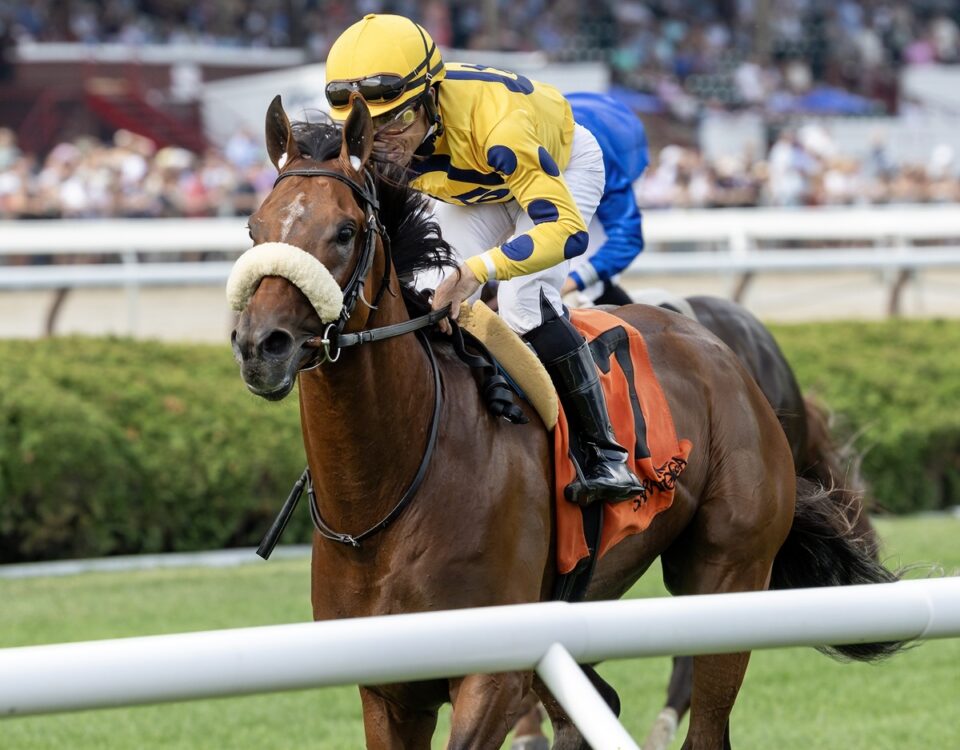 Far Bridge - Debbie Roma - Daily Racing Form
