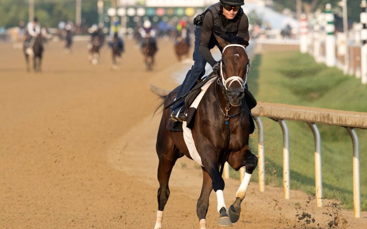 Fierceness Workout - Barbara D. Livingston - Daily Racing Form