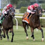 Fionn - Belmont Oaks Invitational G1 - Barbara D. Livingston - Daily Racing Form