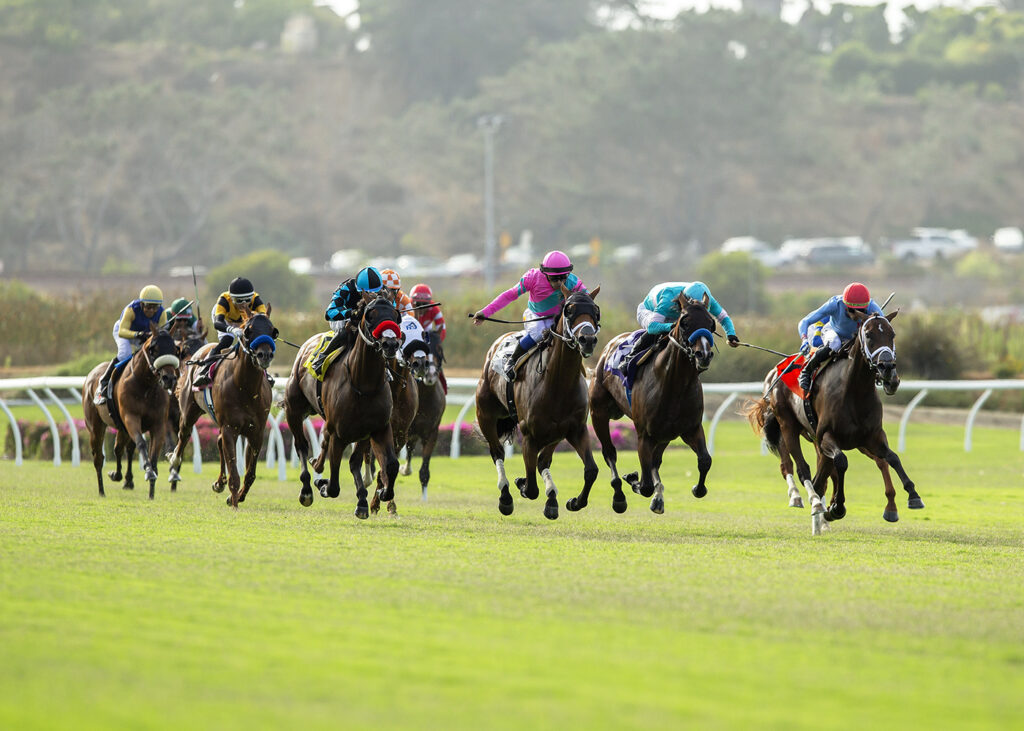 Oceanside Stakes 2024 at Del Mar - Benoit Photo