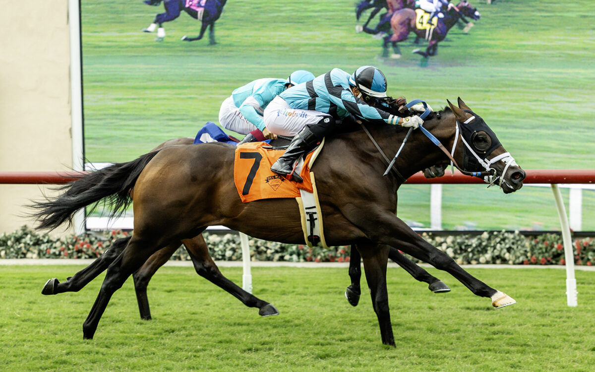 Game Warrior - Oceanside Stakes - Del Mar Thoroughbred Club - © BENOIT PHOTO