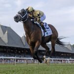 Governor Sam - Barbara D. Livingston - Daily Racing Form