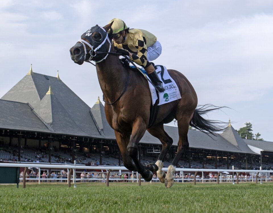 Governor Sam - Barbara D. Livingston - Daily Racing Form