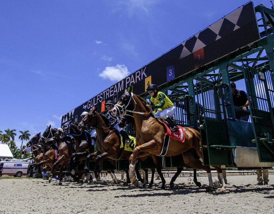 Gulfstream Park - Digital Screen - Coglianese Photo