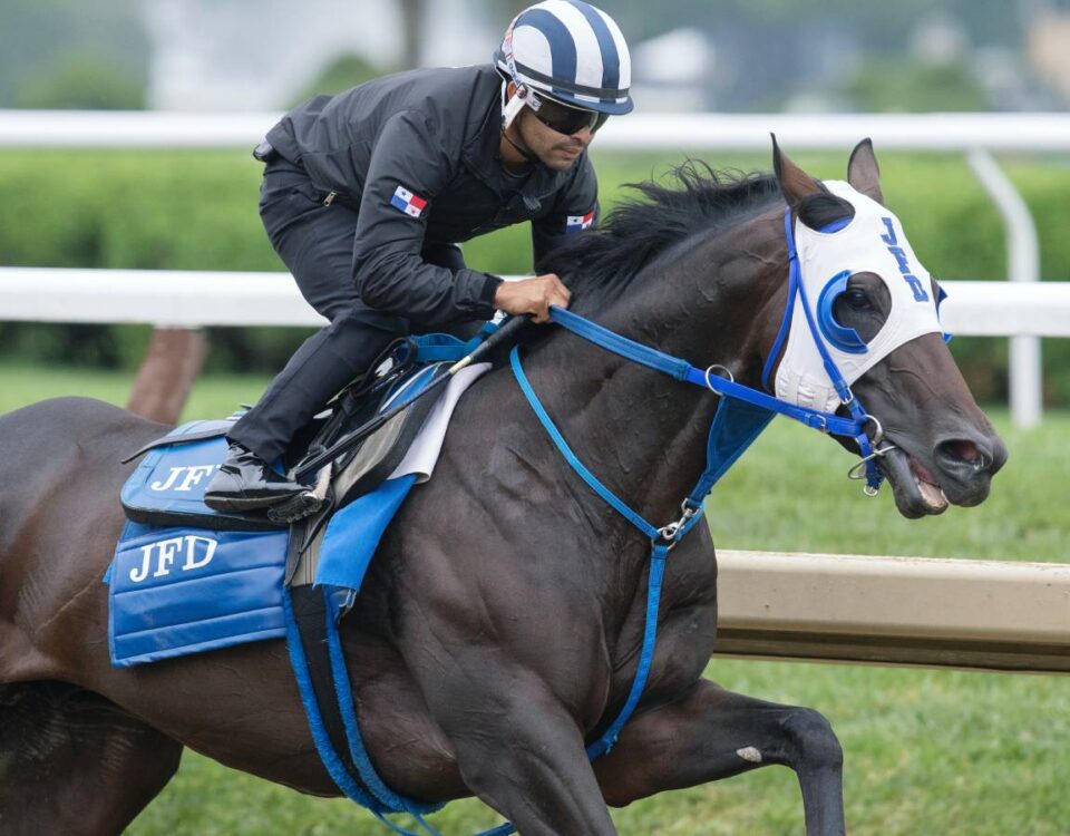 Howard Wolowitz - Barbara D. Livingston - Daily Racing Form