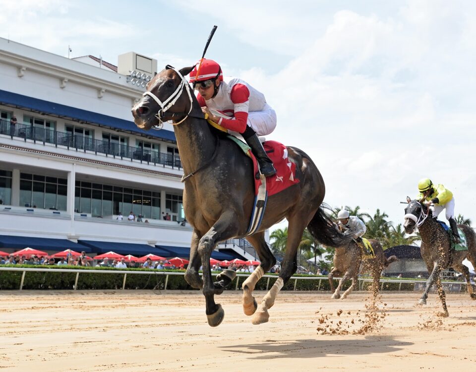 Implementation The Smile Sprint - credit Ryan Thompson / Coglianese Photo