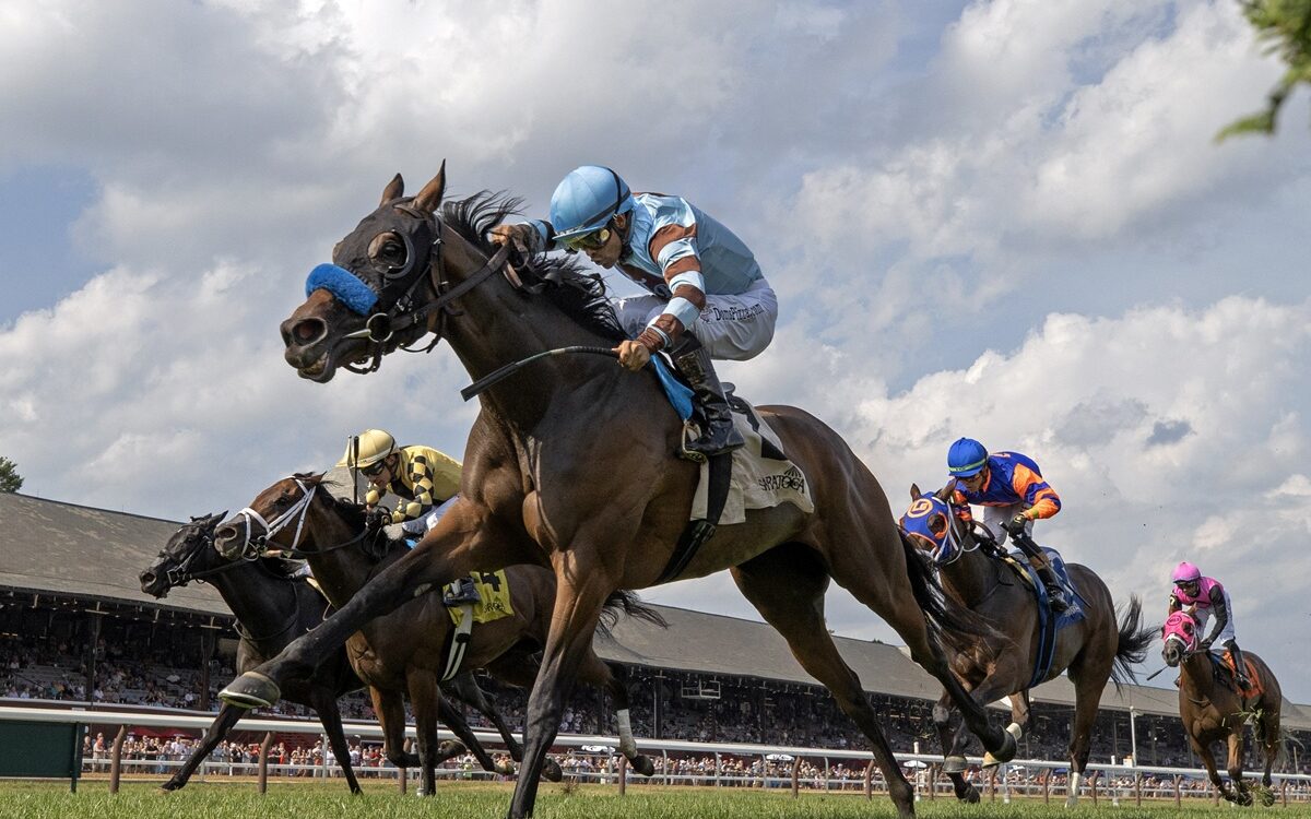 Italian Soiree - Foto: Barbara D. Livingston / Daily Racing Form