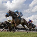 Italian Soiree - Foto: Barbara D. Livingston / Daily Racing Form