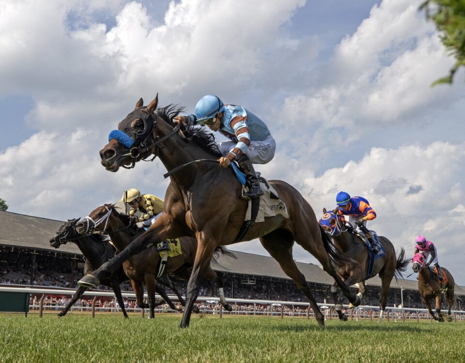 Italian Soiree - Foto: Barbara D. Livingston / Daily Racing Form
