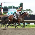 Journalism - Haskell Stakes G1 Taylor Edjys - EQUI/PHOTO