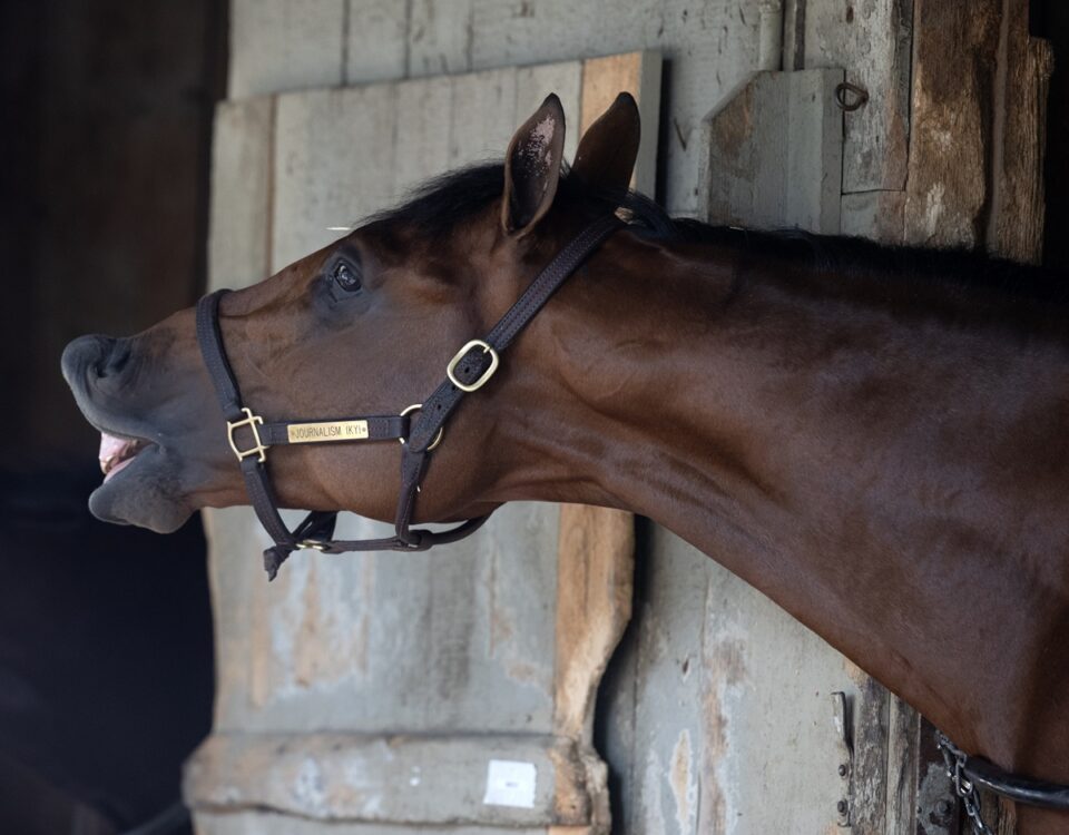 Journalism - Barbara D. Livingston - Daily Racing Form